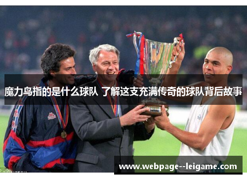魔力鸟指的是什么球队 了解这支充满传奇的球队背后故事